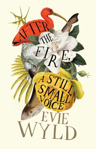 9780224088879: After the Fire, A Still Small Voice