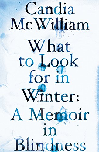 Imagen de archivo de What to Look for in Winter : A Memoir in Blindness a la venta por Better World Books