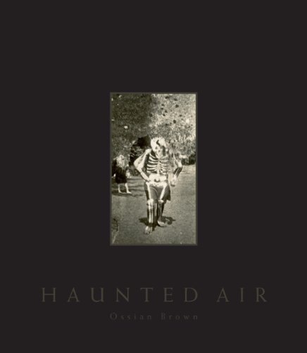 Stock image for Haunted Air for sale by Stock & Trade  LLC