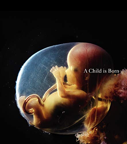 Imagen de archivo de A Child Is Born a la venta por ThriftBooks-Atlanta