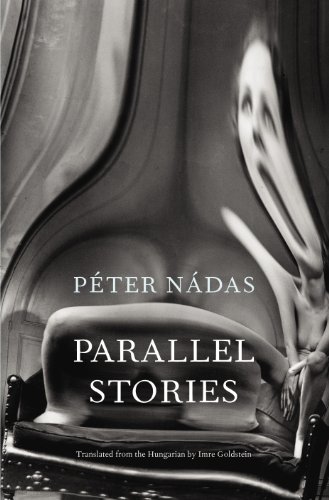 Stock image for Parallel Stories for sale by WorldofBooks