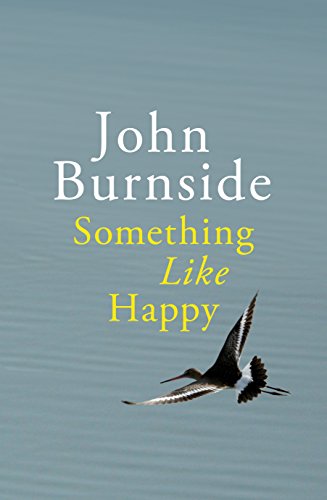 Something Like Happy - Burnside, John