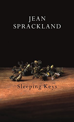 Beispielbild fr Sleeping Keys zum Verkauf von Wonder Book