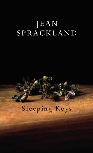 9780224097697: Sleeping Keys