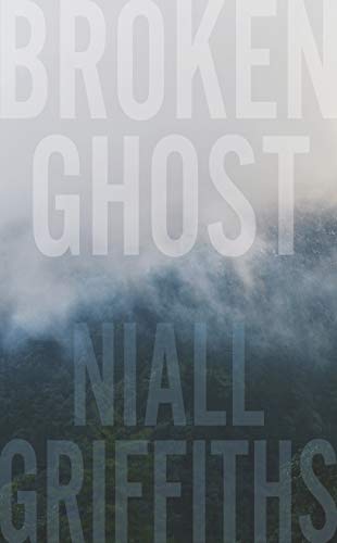 Imagen de archivo de Broken Ghost a la venta por WorldofBooks