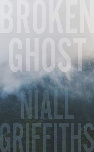 Stock image for Broken Ghost for sale by WorldofBooks