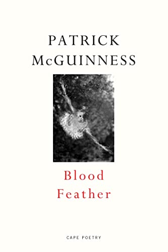 9780224098311: Blood Feather: ‘He writes with Proustian lan and Nabokovian delight’ John Banville