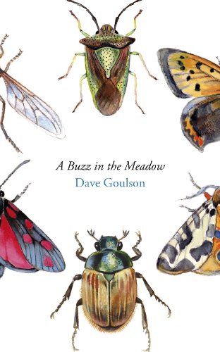 Stock image for A Buzz in the Meadow : The Natural History of a French Farm for sale by Better World Books: West