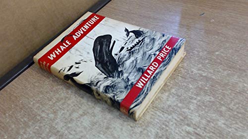 Beispielbild fr Whale Adventure zum Verkauf von Better World Books