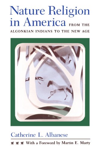 Stock image for Nature Religion in America: From the Algonkian Indians to the New Age (Chicago History of American Religion) for sale by SecondSale