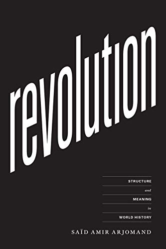 Beispielbild fr Revolution: Structure and Meaning in World History zum Verkauf von Bibliomadness