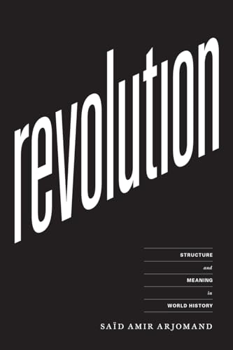 Stock image for Revolution: Structure and Meaning in World History for sale by GF Books, Inc.