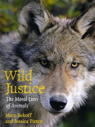Beispielbild fr Wild Justice : The Moral Lives of Animals zum Verkauf von Better World Books