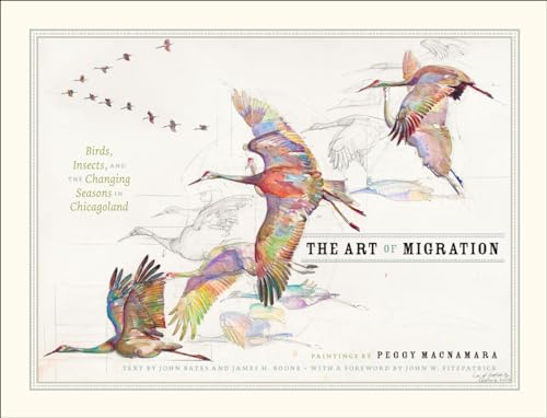 Stock image for The Art of Migration : Birds, Insects, and the Changing Seasons in Chicagoland for sale by Better World Books