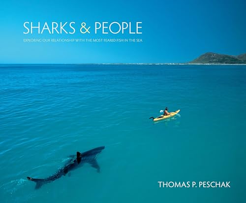 Imagen de archivo de Sharks and People : Exploring Our Relationship with the Most Feared Fish in the Sea a la venta por Better World Books