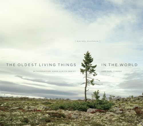 Stock image for The Oldest Living Things in the World for sale by Gulf Coast Books