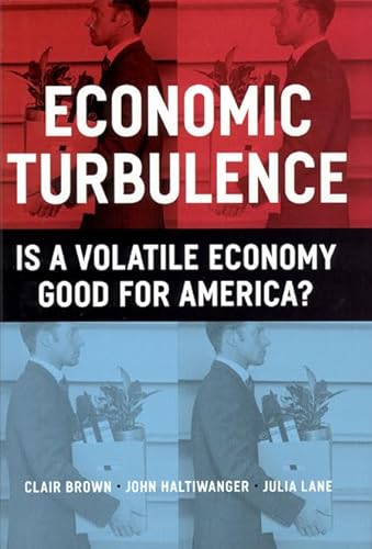 9780226076324: Economic Turbulence: Is a Volatile Economy Good for America?