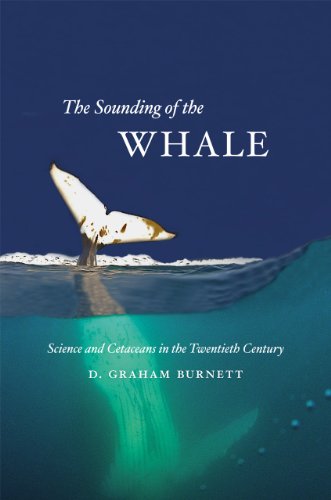 Imagen de archivo de The Sounding of the Whale: Science and Cetaceans in the Twentieth Century a la venta por BooksRun