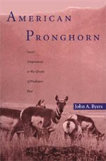 American Pronghorn : Social Adaptations and the Ghosts of Predators Past - John A. Byers
