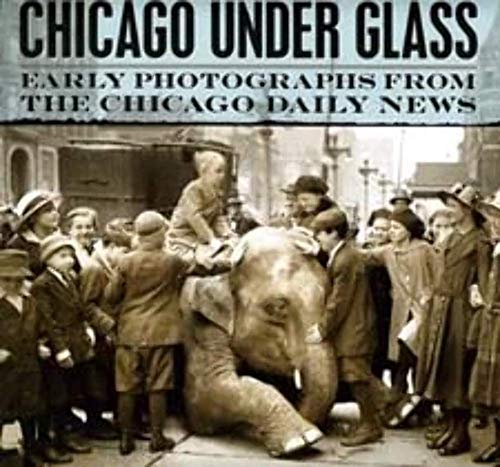 9780226089300: Chicago under Glass: Early Photographs from the Chicago Daily News