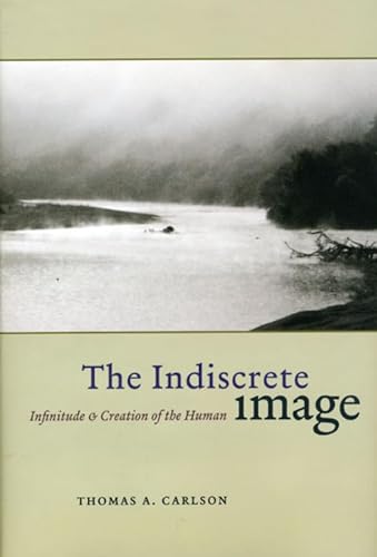 Imagen de archivo de The Indiscrete Image: Infinitude and Creation of the Human (Religion and Postmodernism) a la venta por Book Deals