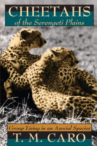 Stock image for Cheetahs of the Serengeti Plains: Group Living in an Asocial Species (Wildlife Behavior and Ecology series) for sale by Wonder Book