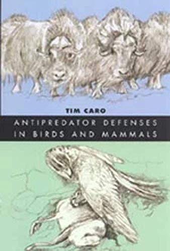 Stock image for Antipredator Defenses in Birds and Mammals for sale by Blackwell's