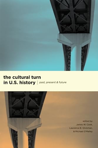 Beispielbild fr The Cultural Turn in U. S. History: Past, Present, and Future zum Verkauf von HPB-Red