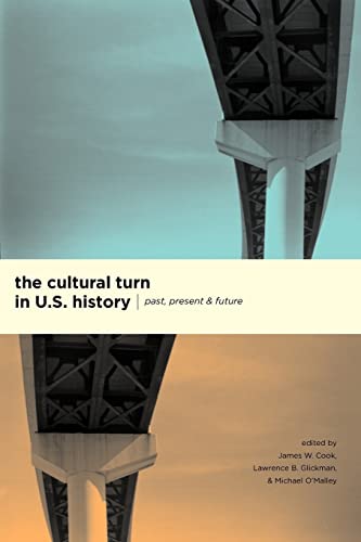 Stock image for The Cultural Turn in U. S. History: Past, Present, and Future for sale by ThriftBooks-Atlanta