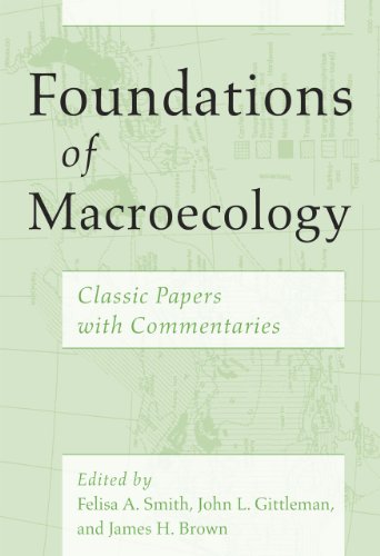 Stock image for Foundations of Macroecology Format: Paperback for sale by INDOO