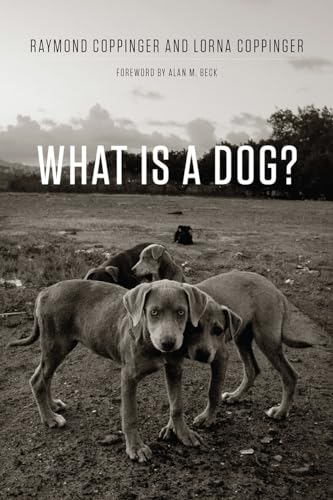 Imagen de archivo de What Is a Dog? a la venta por Ergodebooks