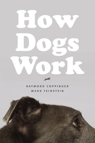 Imagen de archivo de How Dogs Work a la venta por Blackwell's