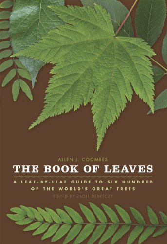 Stock image for The Book of Leaves: A Leaf-by-Leaf Guide to Six Hundred of the World's Great Trees for sale by BooksRun