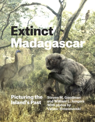 Stock image for Extinct Madagascar: Picturing the Island's Past for sale by Half Price Books Inc.