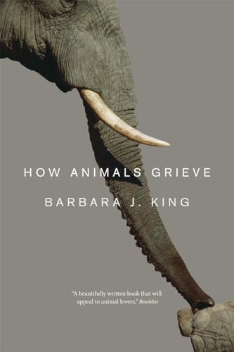 Stock image for How Animals Grieve for sale by Blackwell's