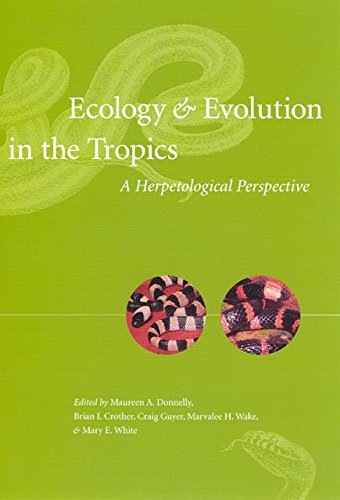 Imagen de archivo de Ecology & Evolution in the Tropics: A Herpetological Perspective a la venta por Daedalus Books