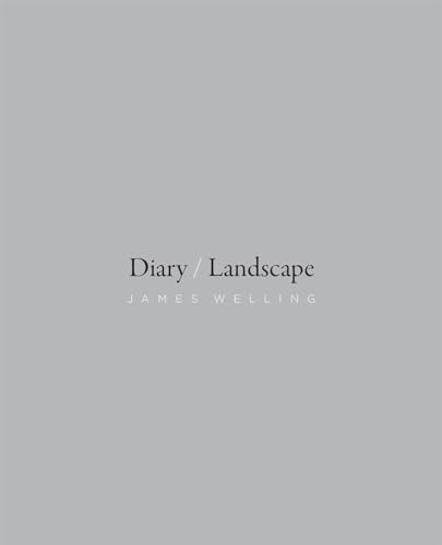 Stock image for Diary / Landscape for sale by Blackwell's