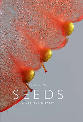 Stock image for Seeds: A Natural History for sale by HPB-Red