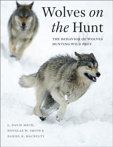 9780226255149: Wolves on the Hunt: The Behavior of Wolves Hunting Wild Prey