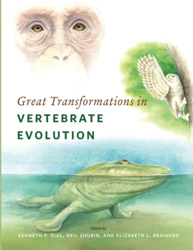 Beispielbild fr Great Transformations in Vertebrate Evolution zum Verkauf von Manchester By The Book