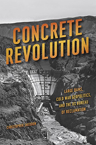 Stock image for Concrete Revolution for sale by Blackwell's