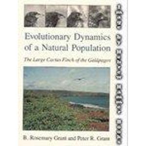 Beispielbild fr Evolutionary Dynamics of a Natural Population: The Large Cactus Finch of the Galapagos zum Verkauf von Books From California