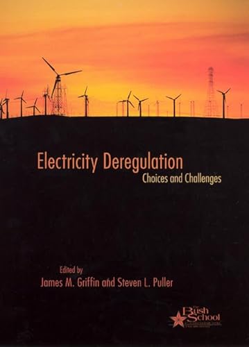 Imagen de archivo de Electricity Deregulation a la venta por Blackwell's