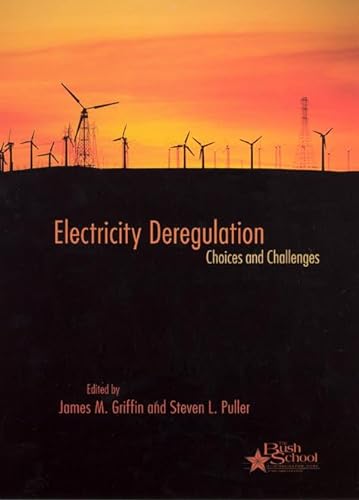 9780226308562: Electricity Deregulation: Choices And Challenges