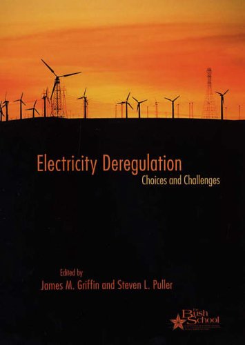 Stock image for Electricity Deregulation for sale by Blackwell's