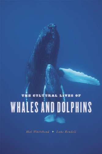 

Cultural Lives of Whales and Dolphins