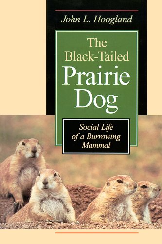 Beispielbild fr The Black-Tailed Prairie Dog zum Verkauf von Blackwell's