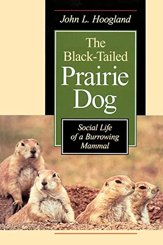 Stock image for The Black-Tailed Prairie Dog: Social Life of a Burrowing Mammal (Wildlife Behavior and Ecology series) for sale by HPB-Diamond