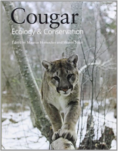 9780226353449: Cougar: Ecology and Conservation