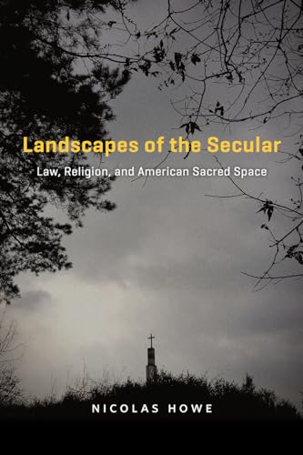 Stock image for Landscapes of the Secular for sale by Blackwell's